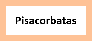 Pisacorbatas para empresa al por mayor.